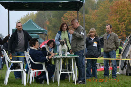 darmowy hosting obrazków