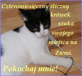Obrazek
