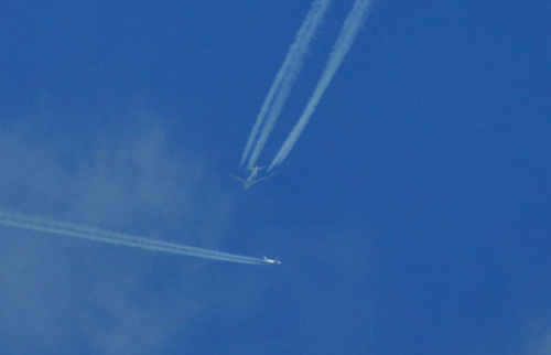 darmowy hosting obrazków