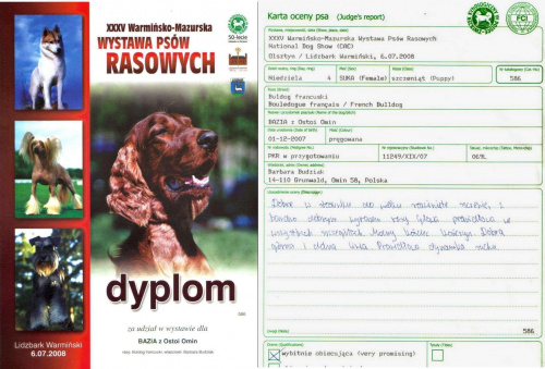 darmowy hosting obrazków