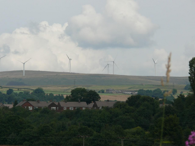 #burrs #CountryPark