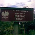 Nad Jeziorem Pierzchalskim - przed leśniczówka Książki