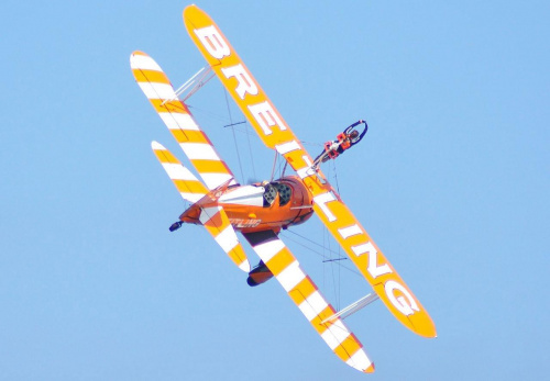 #wingwalkers