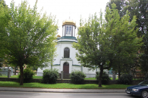 białowieża 2011