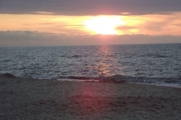 Moje zdjęcia czysto amatorskie zrobione na wakacjach.
Widok, na plaży , psinka na plaży, motyl.
Miłego oglądania Pozdrawiam Andzelika