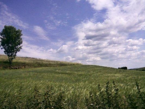 co tu dużo mówić. jestem początkująca. robię zdjęcia od kilku lat. nie mam profesjonalnego sprzętu , ale staram sie jak najwierniej uchwycić piękne chwile na robionych zdjęciach ;)