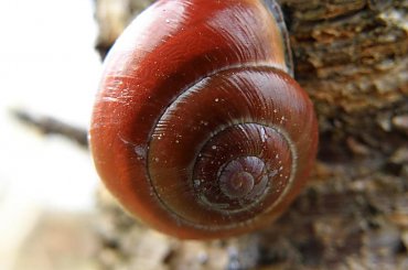 PZK - Polskie zdjęcia krajobrazowe.
http://pzk.rozkosz.com #pzk