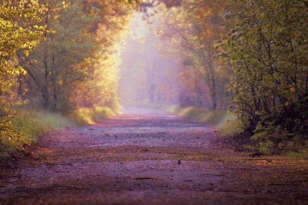 Nad rzeczką, nieopodal krzaczka, egzystowała letnia, pastelowa, leśna Dróżka - lokalna schadzka.