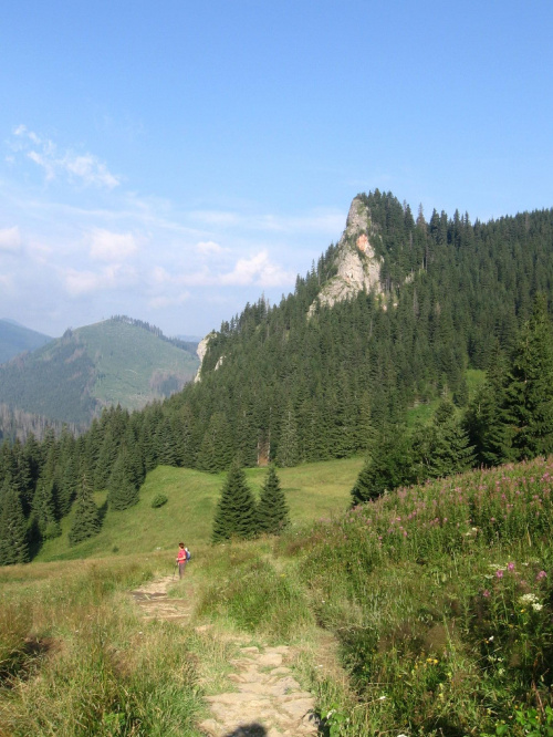 Widoki z Przysłupu Miętusiego #Góry #Tatry #Małołączniak