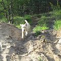 Szaleństwa Rika ;D