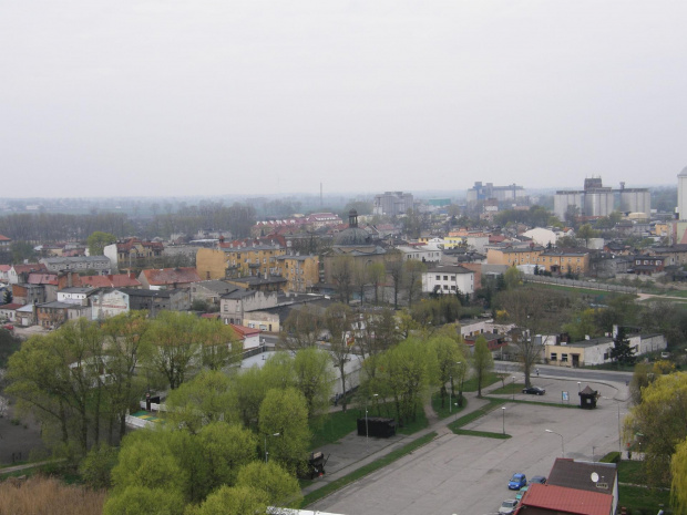 Kruszwica - panorama z wieży