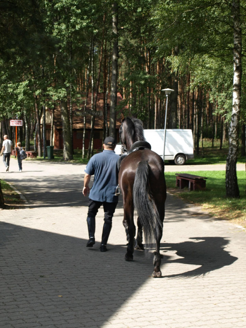 Zlot 2011 WAWRZKOWIZNA