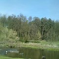 #panorama #swider #wiosna #rzeka #drzewa #las #niebo