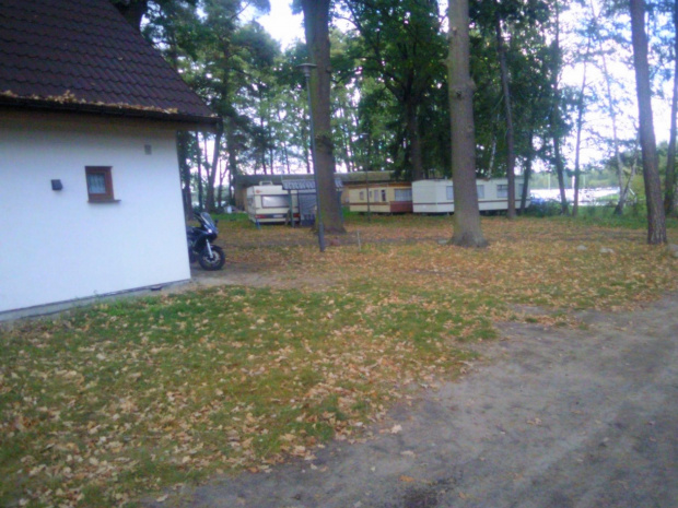 STARY LICHEŃ