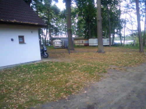 STARY LICHEŃ