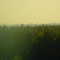 wieżowce Piotrkowa Trybunalskiego widziane z Góry Sławno #PiotrkówTrybunalski #GóraSławno
