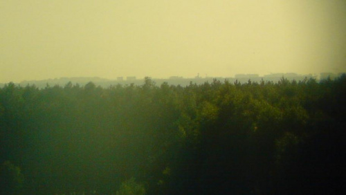 wieżowce Piotrkowa Trybunalskiego widziane z Góry Sławno #PiotrkówTrybunalski #GóraSławno