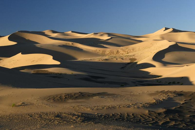 Chongoryn Els - największy obszar lotnych piasków na Gobi #mongolia #gobi