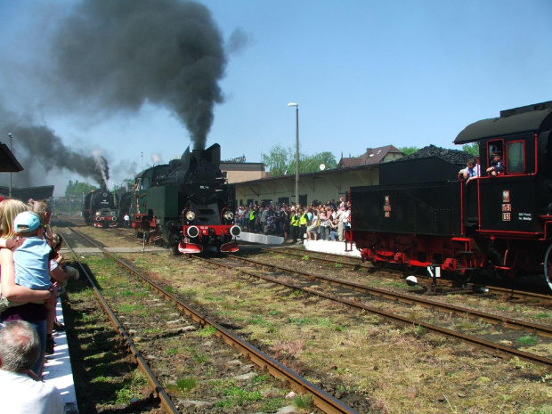 Wolsztyn 2009 - parada parowozów #ParadaParowozów