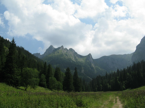 malownicze polskie Tatry #góry #Tatry #Polska #natura