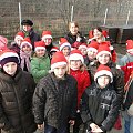 Koty do adopcji #adopcja #adopcje #Gliwice #kocięta #kot #kotki #koty #pomoc #przygarnę #schronisko #zaadoptuję #zwierzęta