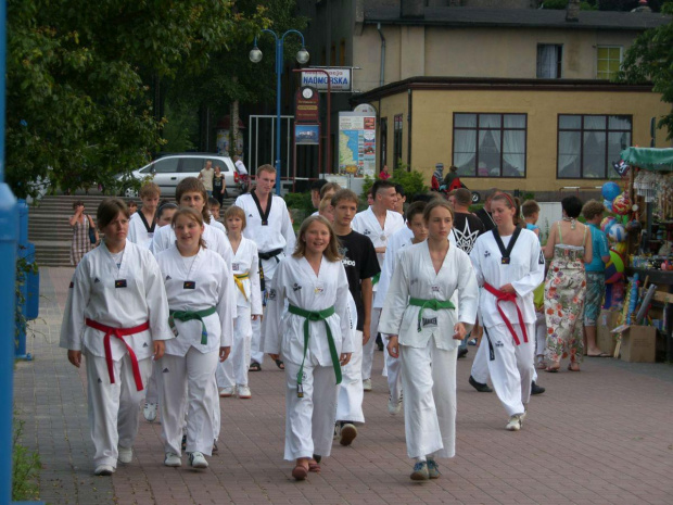 summer camp taekwondo Puck