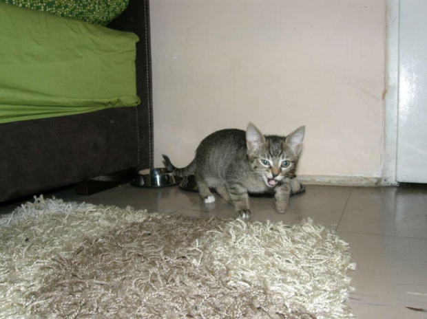 Stópeczka