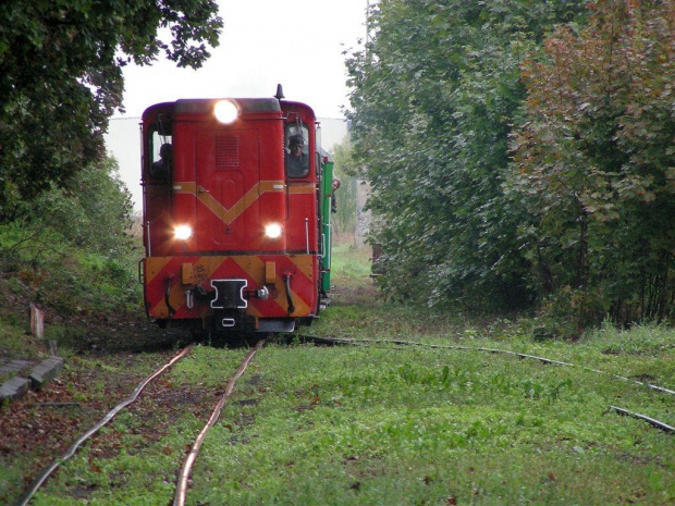 wjazd do Ozorkowa Wąsk - 20.09.08