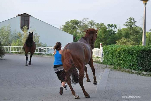 2009.05.21 Trening w Stodołach