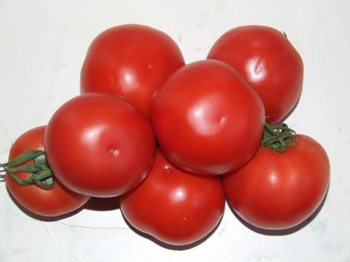 #pomidory #warzywa