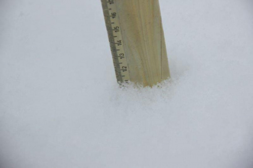 Świętochłowice w woj. śląskim. Grubość pokrywy śnieżnej 11 cm. 14 stycznia 2012 r. #GórnyŚląsk #Śląsk #śnieg #zima