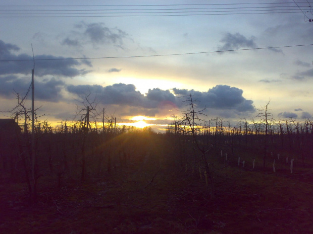 Marcowy zachód słońca za Sandomierzem. #zachód #słońce #chmury #niebo #błękit #Sandomierz #sady