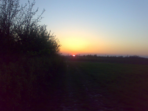 Majowy zachód słońca w Gierlachowie. (okolice Sandomierza) #zachód #słońce #maj #ogrody