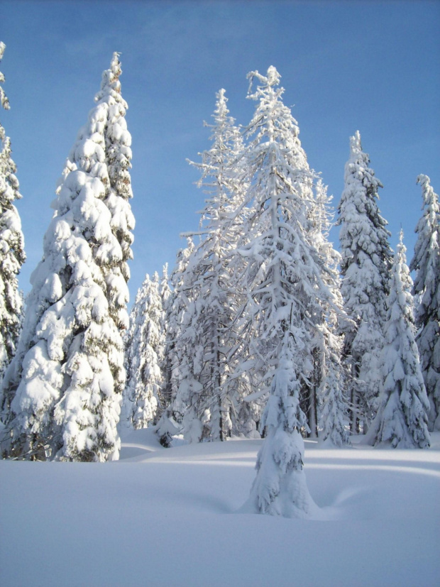Karkonosz-Duch Gór zaprosił w gościnę Królową Śniegu :)) #Karkonosze #zima #śnieg #szadź