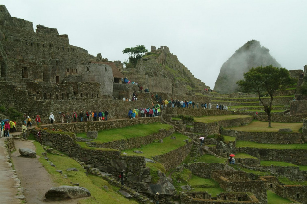 Machu Picchu