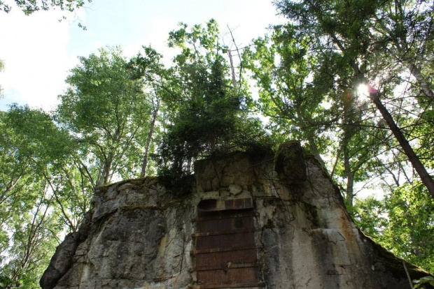 Zdjęcia z wyprawy w Wilczym Szańcu #drzewa #las #bunkry #obelisk