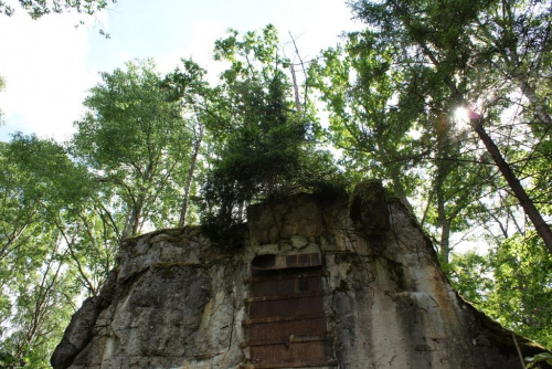 Zdjęcia z wyprawy w Wilczym Szańcu #drzewa #las #bunkry #obelisk