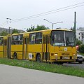 Ikarus 280.26 #4342 (PKM Gliwice) na jubileuszowej linii 50, Tychy.