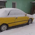 zima