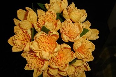 Bukiet kaczeńców #bibułkarstwo #CudaZPapieru #krepina #kwiatki #KwiatyZBibuły #KwiatyZKrepiny #artystyczne #bukiety #dekoracje #dekoratorstwo #kompozycje #kwiaty #NaStół #unikatowe #oryginalne #rękodzieło