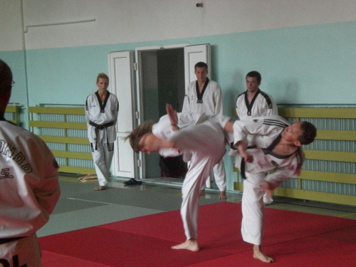 wtf, taekwondo