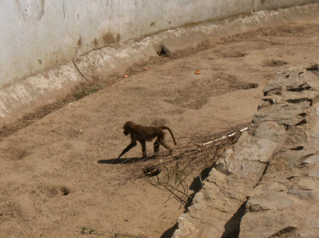 Zoo Wrocław :)