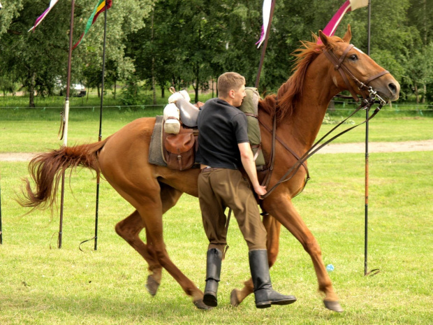 IX Piknik Kawaleryjski w Suwałkach #PiknikKawaleryjski #Suwałki #konie #kawaleria