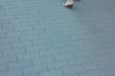 szpilki, nogi, stopy, obcasy, nylon, rajstopy, feet, foot, legs, dojrzałe #dojrzałe #feet #foot #legs #nogi #nylon #obcasy #rajstopy #stopy #szpilki