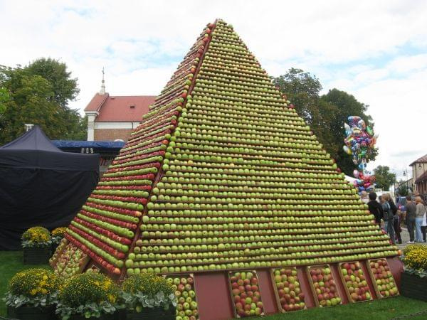 jabłkobranie