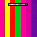 Pet Shop boys-Introspectiw