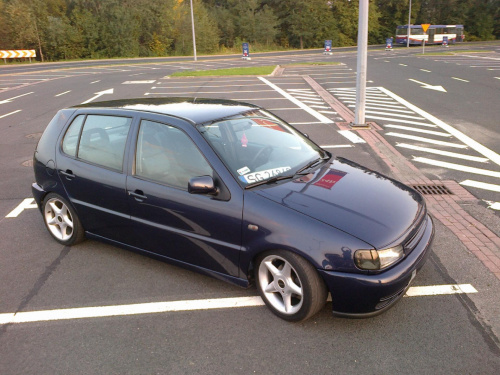 polo 6n
