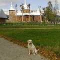 Muszyna Złockie Cerkiew #galeria #Homer #Labrador #pies #zdjęcia