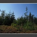 II Zlot BESKIDoczubów => http://beskidtrek.pl/2008/10/03/ii-zlot-beskidoczubow-na-rogaczu