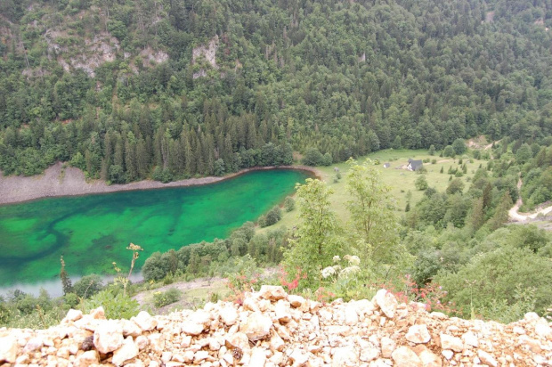 zielone jezioro na suszicy